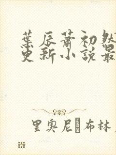 叶辰萧初然最快更新小说最新 叶辰萧初然最快更新小说最新