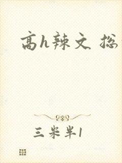 高h辣文 总裁