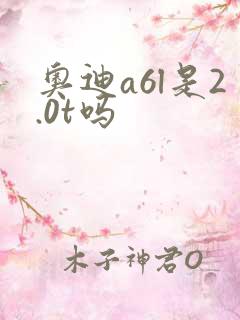 奥迪a6l是2.0t吗