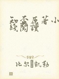 知否原著小说在线阅读