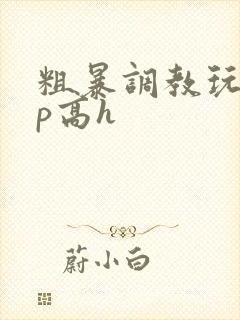 粗暴调教玩弄np高h