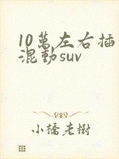 10万左右插电混动suv