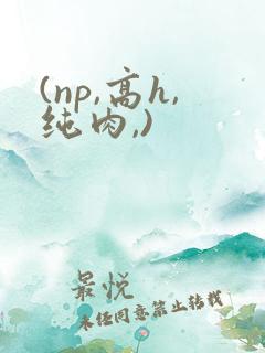 (np,高h,纯肉,)