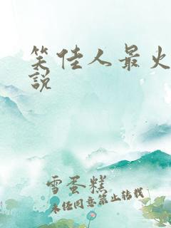 笑佳人最火的小说
