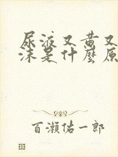 尿液又黄又有泡沫是什么原因