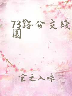 73路公交线路图