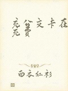 充公交卡在哪里充费