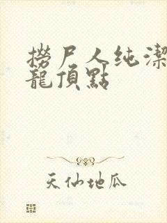 捞尸人纯洁滴小龙顶点