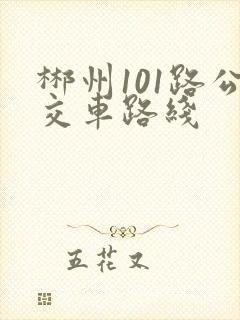 郴州101路公交车路线