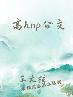 高hnp公交