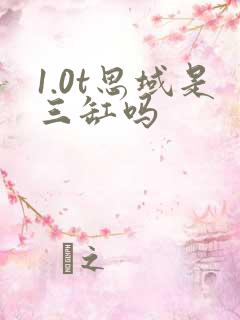 1.0t思域是三缸吗