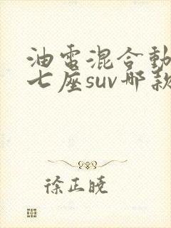 油电混合动力车七座suv哪款最好