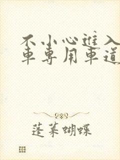 不小心进入公交车专用车道怎么办
