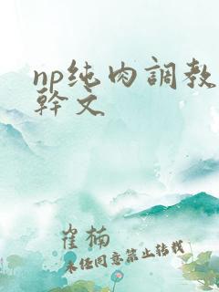 np纯肉调教高干文