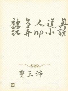 被多人道具调教玩弄np小说阅读