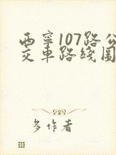 西宁107路公交车路线图