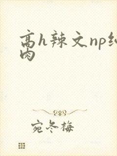 高h辣文np纯肉