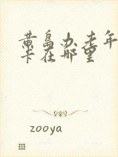 黄岛办老年乘车卡在哪里