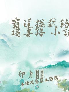 霸道总裁的漫漫追妻路 小说