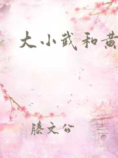 大小武和黄蓉 大小武和黄蓉