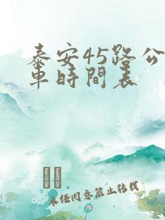 泰安45路公交车时间表