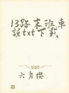 13路末班车小说txt下载