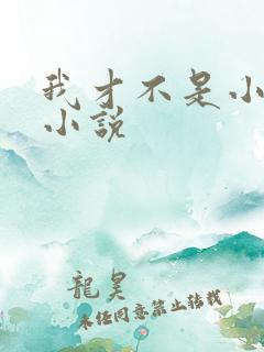 我才不是小可怜小说