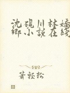 沈砚川林娇娇下乡小说在线阅读