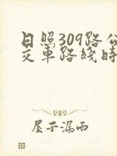 日照309路公交车路线时间表
