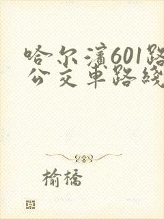 哈尔滨601路公交车路线时间表