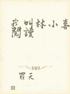 我叫林小喜全文阅读