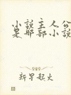 小说主人公林凡是哪部小说