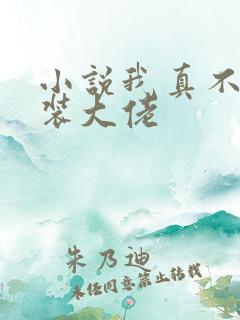 小说我真不是女装大佬