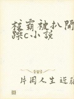 校霸被扒开腿狂躁c小说