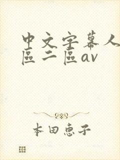 中文字幕人妻一区二区av