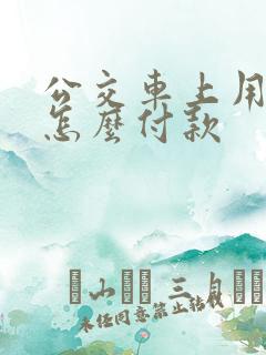 公交车上用手机怎么付款