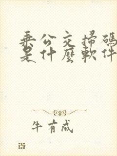 乘公交扫码付钱是什么软件