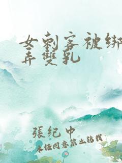 女刺客被绑着玩弄双乳