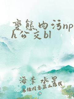 变态肉污np高h公交bl