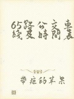 65路公交车路线及时间表