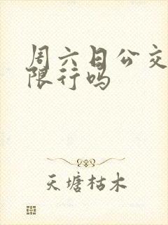 周六日公交车道限行吗