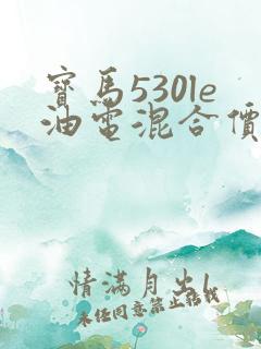 宝马530le油电混合价格2019