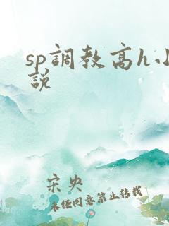 sp调教高h小说 sp调教高h小说