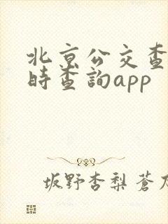 北京公交查询实时查询app