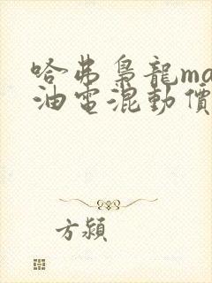 哈弗枭龙max油电混动价格
