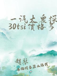 一汽大众探岳330tsi价格多少