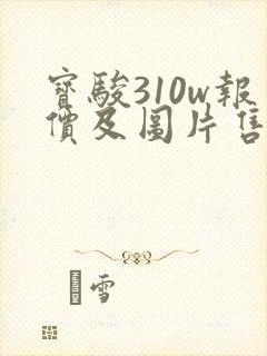 宝骏310w报价及图片售价3.98万启辰