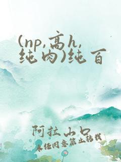(np,高h,纯肉)纯百