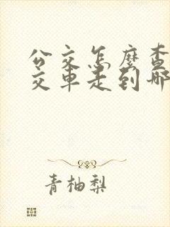 公交怎么查看公交车走到哪了 公交怎么查看公交车走到哪了