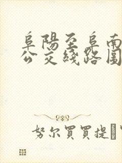 阜阳至阜南城际公交线路图